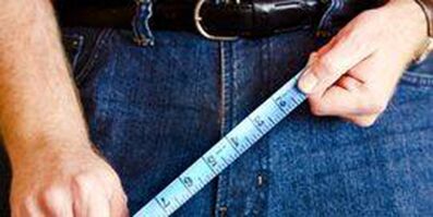 Dimensions of the genital organ of a man
