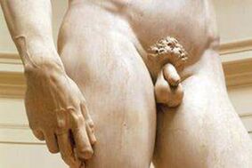 Small cock